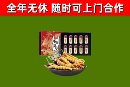 龙泉驿区烟酒回收冬虫夏草礼盒.jpg